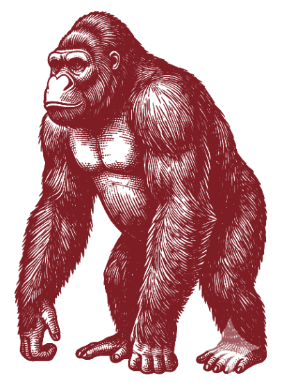 king kong